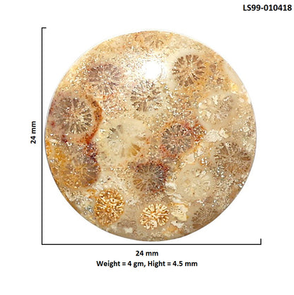 Natural Flower Fossil Coral 24x24x4.5 mm Round Shape Polished Gemstone LS99-010418