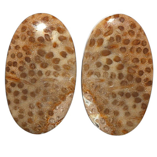 Natural Root Plume Agate 14x23.6x4.5 mm Oval Shape Polished Gemstone LS99-010424