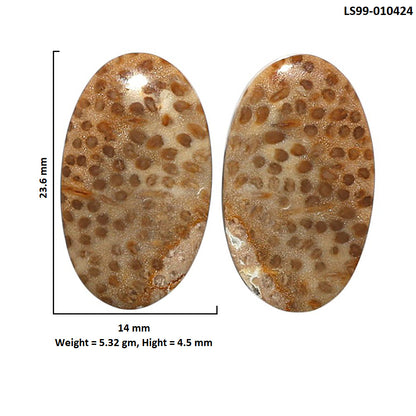 Natural Root Plume Agate 14x23.6x4.5 mm Oval Shape Polished Gemstone LS99-010424