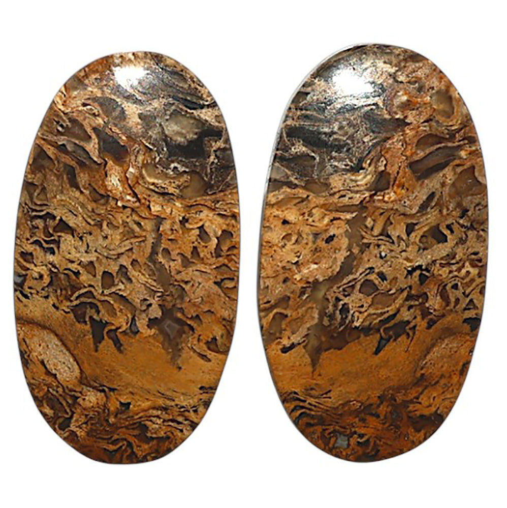 Natural Root Plume Agate 14.2x26x4.5 mm Oval Shape Polished Gemstone LS99-010425