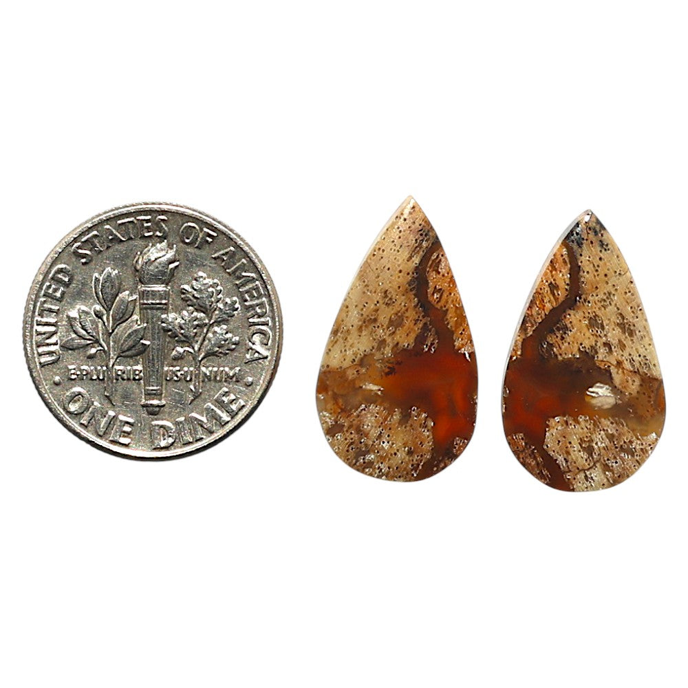 Natural Root Plume Agate 11.1x19.3x3.5 mm Pear Shape Polished Gemstone LS99-010426