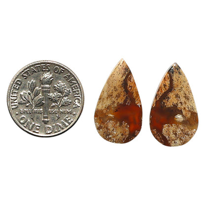Natural Root Plume Agate 11.1x19.3x3.5 mm Pear Shape Polished Gemstone LS99-010426
