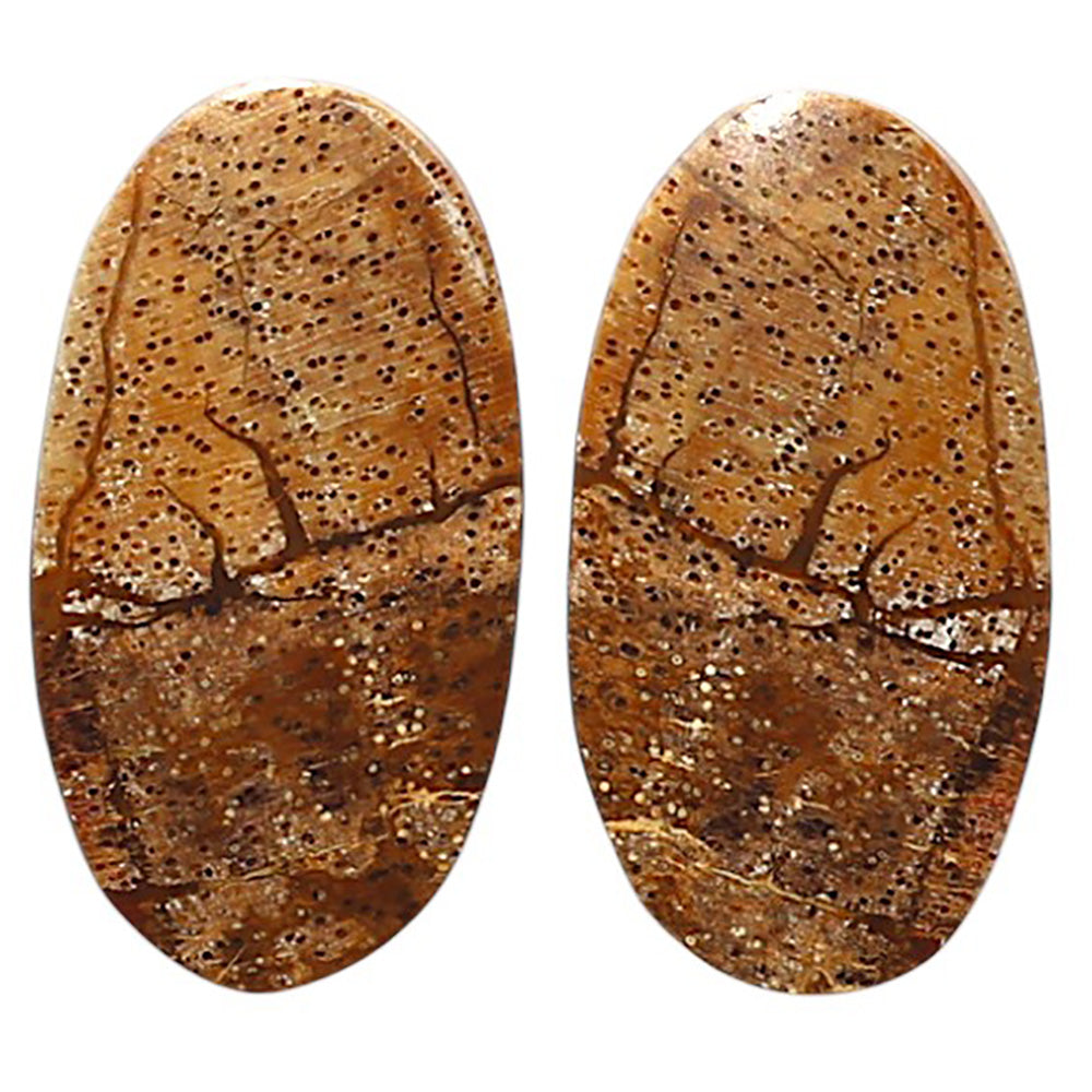 Natural Picture Jasper 12.8x23.6x3 mm Oval Shape Polished Gemstone LS99-010427