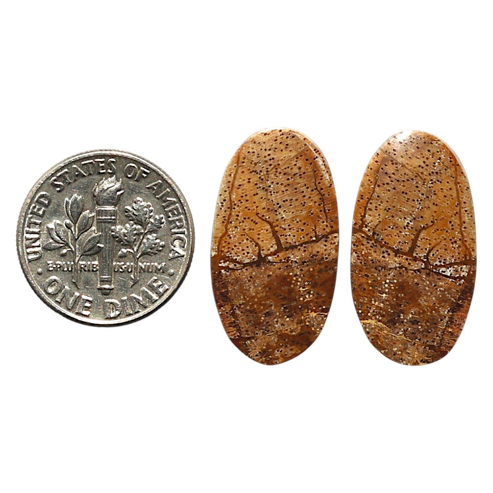 Natural Picture Jasper 12.8x23.6x3 mm Oval Shape Polished Gemstone LS99-010427