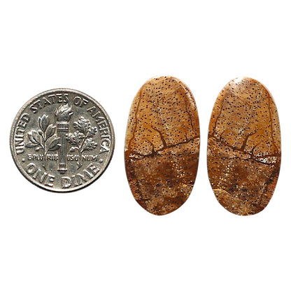 Natural Picture Jasper 12.8x23.6x3 mm Oval Shape Polished Gemstone LS99-010427