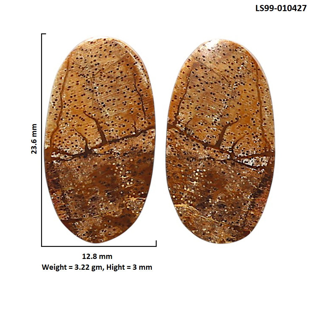 Natural Picture Jasper 12.8x23.6x3 mm Oval Shape Polished Gemstone LS99-010427