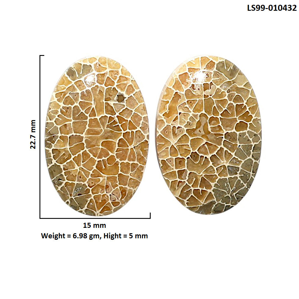 Natural Flower Fossil Coral 15x22.7x5 mm Oval Shape Polished Gemstone LS99-010432