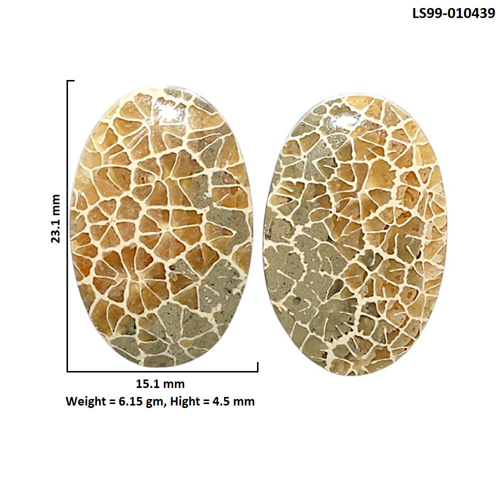 Natural Flower Fossil Coral 15.1x23.1x4.5 mm Oval Shape Polished Gemstone LS99-010439