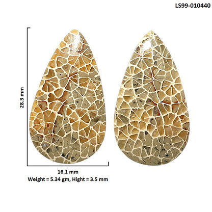 Natural Flower Fossil Coral 16.1x28.3x3.5 mm Pear Shape Polished Gemstone LS99-010440