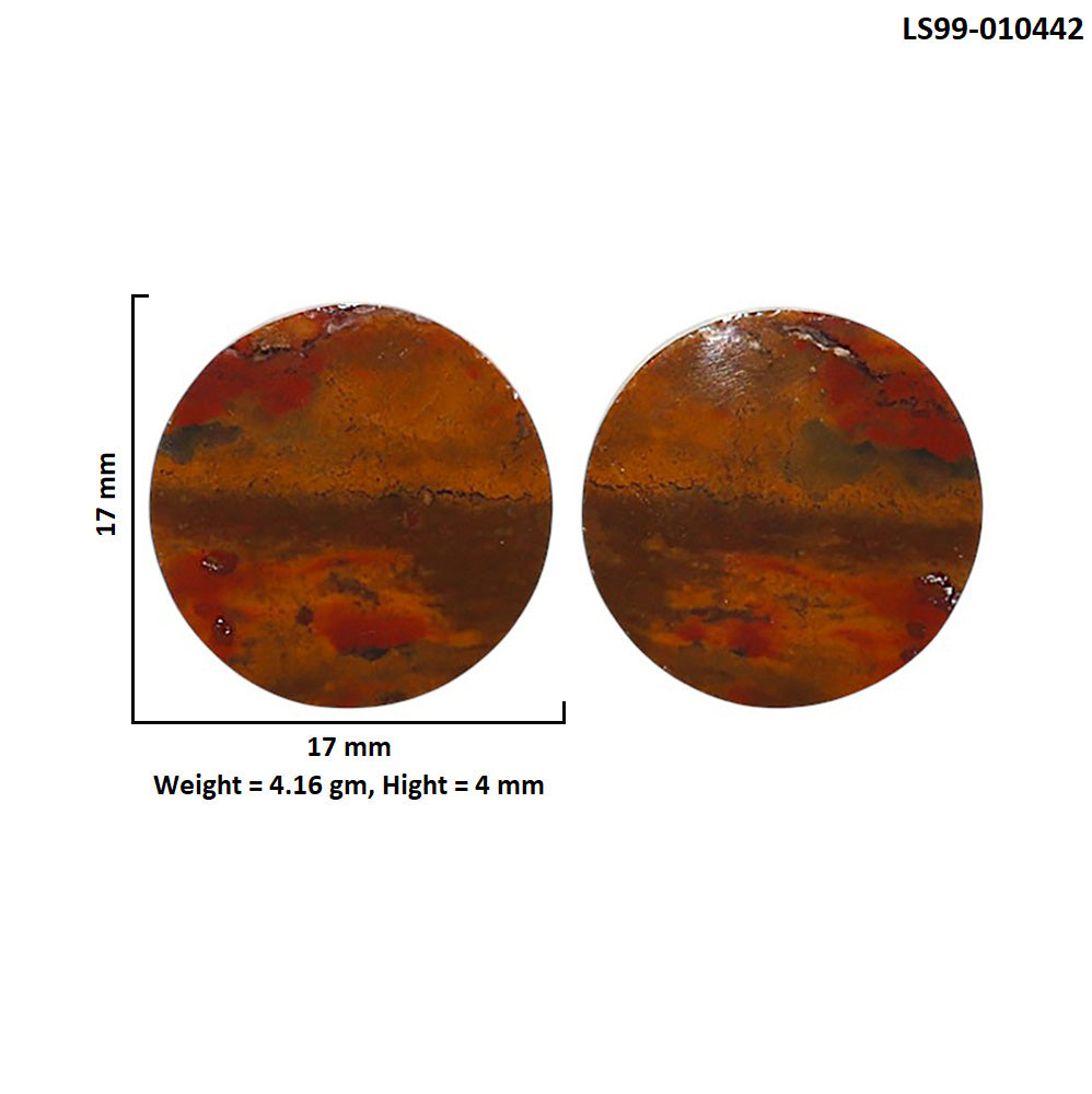 Natural Rare Cady Mountain Agate 17x17x4 mm Round Shape Polished Gemstone LS99-010442