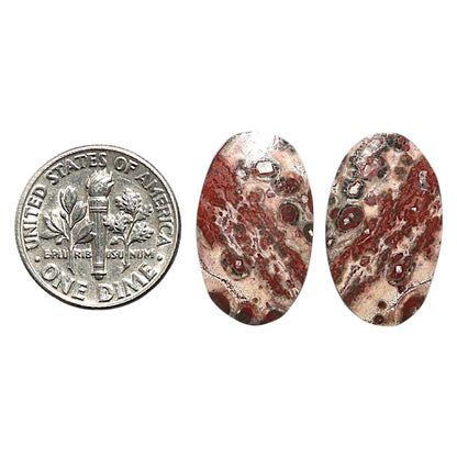 Natural Leopard Skin Jasper 12.6x20.7x3.5 mm Oval Shape Polished Gemstone LS99-010447