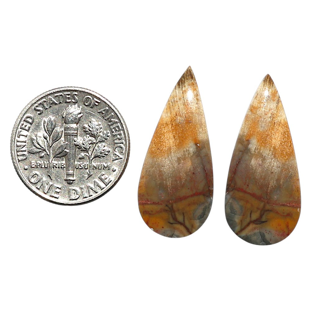 Natural Polygram Jasper 11.3x25.5x4.5 mm Pear Shape Polished Gemstone LS99-010448
