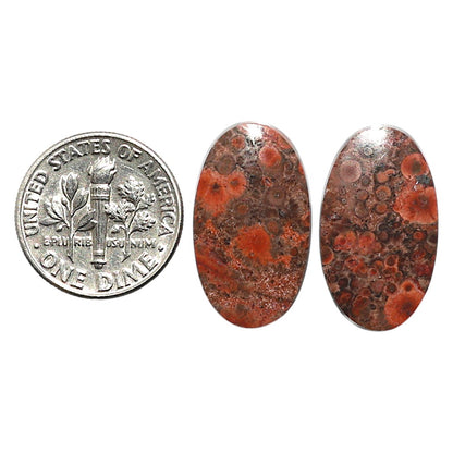 Natural Poppy Jasper 12.8x22x3.5 mm Oval Shape Polished Gemstone LS99-010461