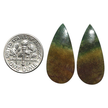 Natural Texas Moss Agate 12.8x27.2x4 mm Pear Shape Polished Gemstone LS99-010462