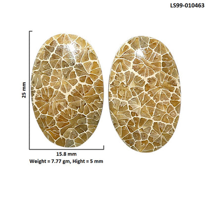 Natural Flower Fossil Coral 15.8x25x5 mm Oval Shape Polished Gemstone LS99-010463