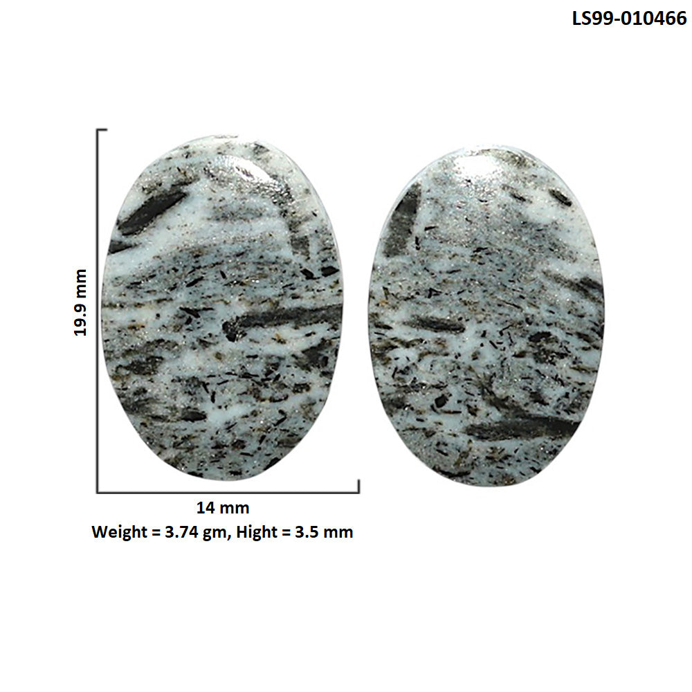 Natural Hornblende 14x19.9x3.5 mm Oval Shape Polished Gemstone LS99-010466