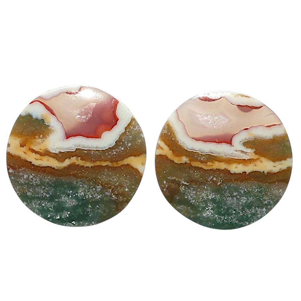 Natural Larsonite Jasper 18.8x18.8x3.7 mm Round Shape Polished Gemstone LS99-010472