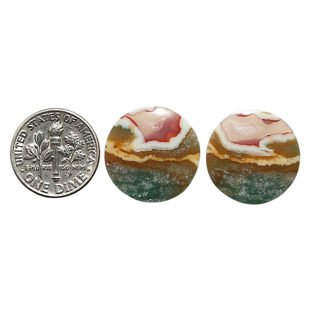 Natural Larsonite Jasper 18.8x18.8x3.7 mm Round Shape Polished Gemstone LS99-010472