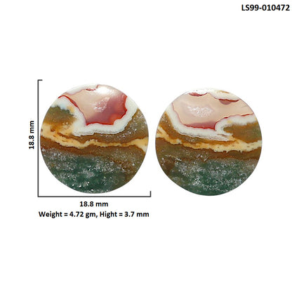 Natural Larsonite Jasper 18.8x18.8x3.7 mm Round Shape Polished Gemstone LS99-010472
