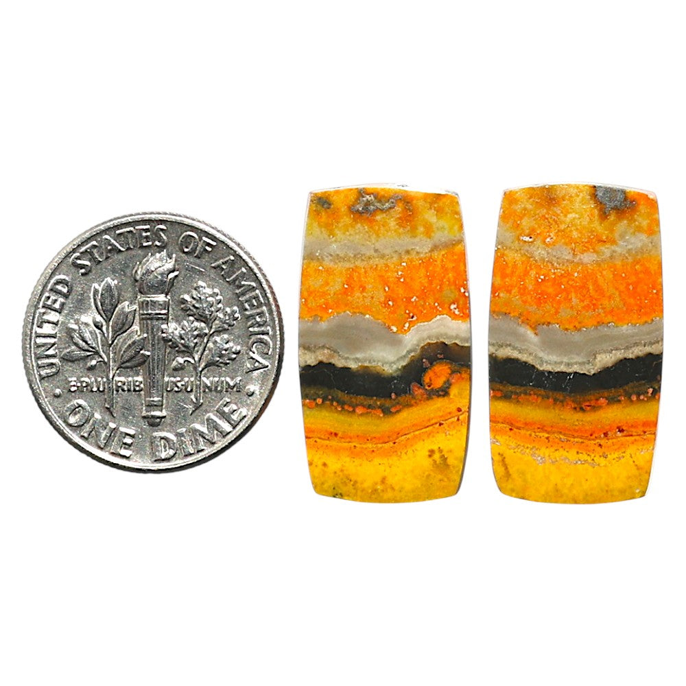 Natural Indonesian Bumble Bee 12x21.8x3.5 mm Cushion Shape Polished Gemstone LS99-010481