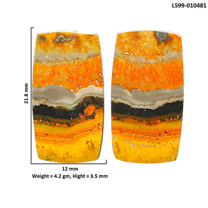 Natural Indonesian Bumble Bee 12x21.8x3.5 mm Cushion Shape Polished Gemstone LS99-010481