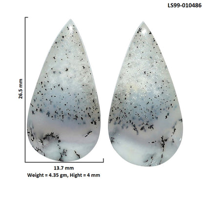 Natural Merlinite Dendritic Opal 13.7x26.5x4 mm Pear Shape Polished Gemstone LS99-010486