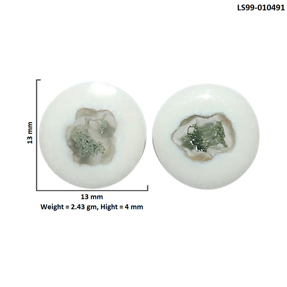 Natural Horse Canyon Moss Agate 13x13x4 mm Round Shape Polished Gemstone LS99-010491
