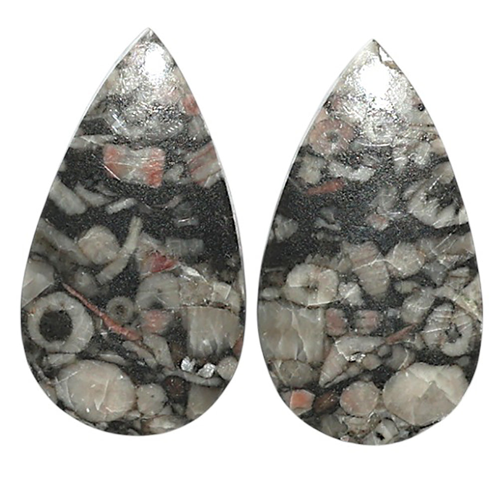 Natural Crinoid Fossil Coral 14.7x26.2x4 mm Pear Shape Polished Gemstone LS99-010505