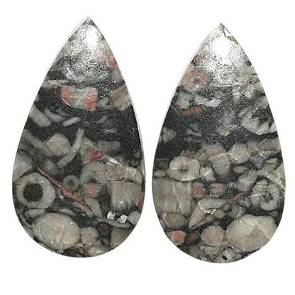 Natural Crinoid Fossil Coral 14.7x26.2x4 mm Pear Shape Polished Gemstone LS99-010505