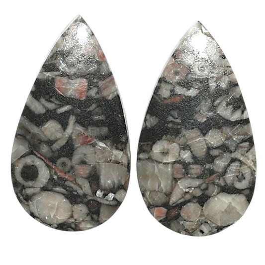 Natural Crinoid Fossil Coral 14.7x26.2x4 mm Pear Shape Polished Gemstone LS99-010505