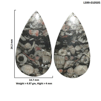 Natural Crinoid Fossil Coral 14.7x26.2x4 mm Pear Shape Polished Gemstone LS99-010505