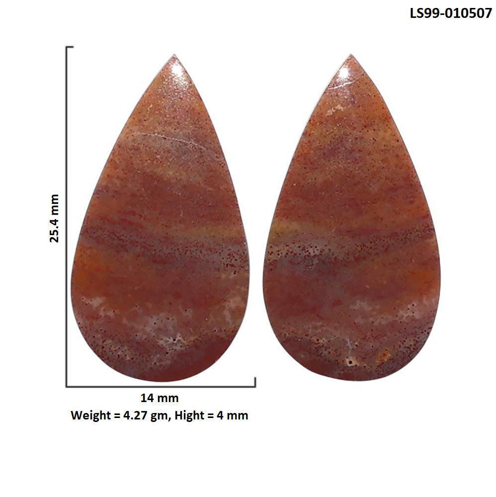 Natural Blood Stone 14x25.4x4 mm Pear Shape Polished Gemstone LS99-010507