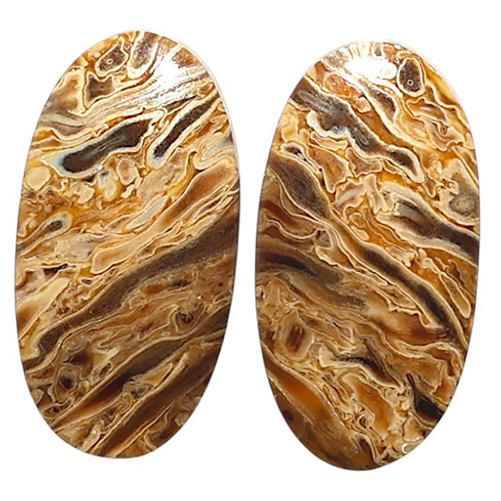 Natural Root Plume Agate 12.8x24.4x4 mm Oval Shape Polished Gemstone LS99-010513