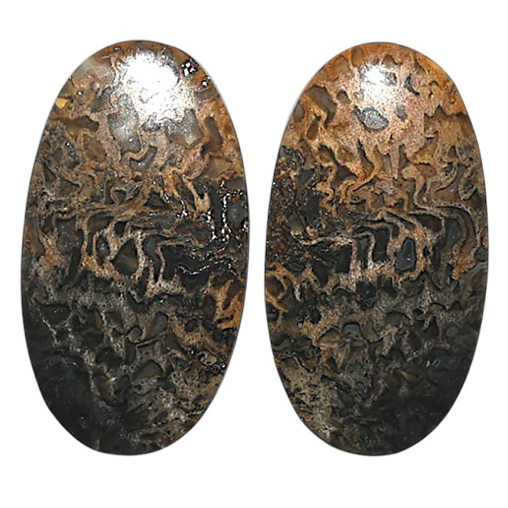 Natural Root Plume Agate 13.5x24.5x4 mm Oval Shape Polished Gemstone LS99-010517
