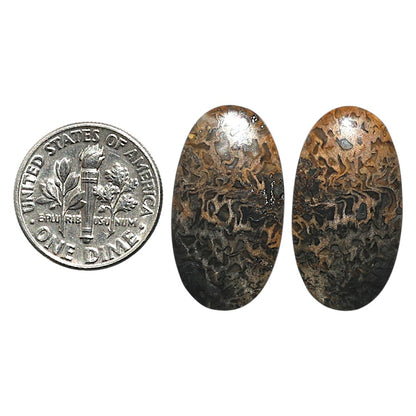 Natural Root Plume Agate 13.5x24.5x4 mm Oval Shape Polished Gemstone LS99-010517