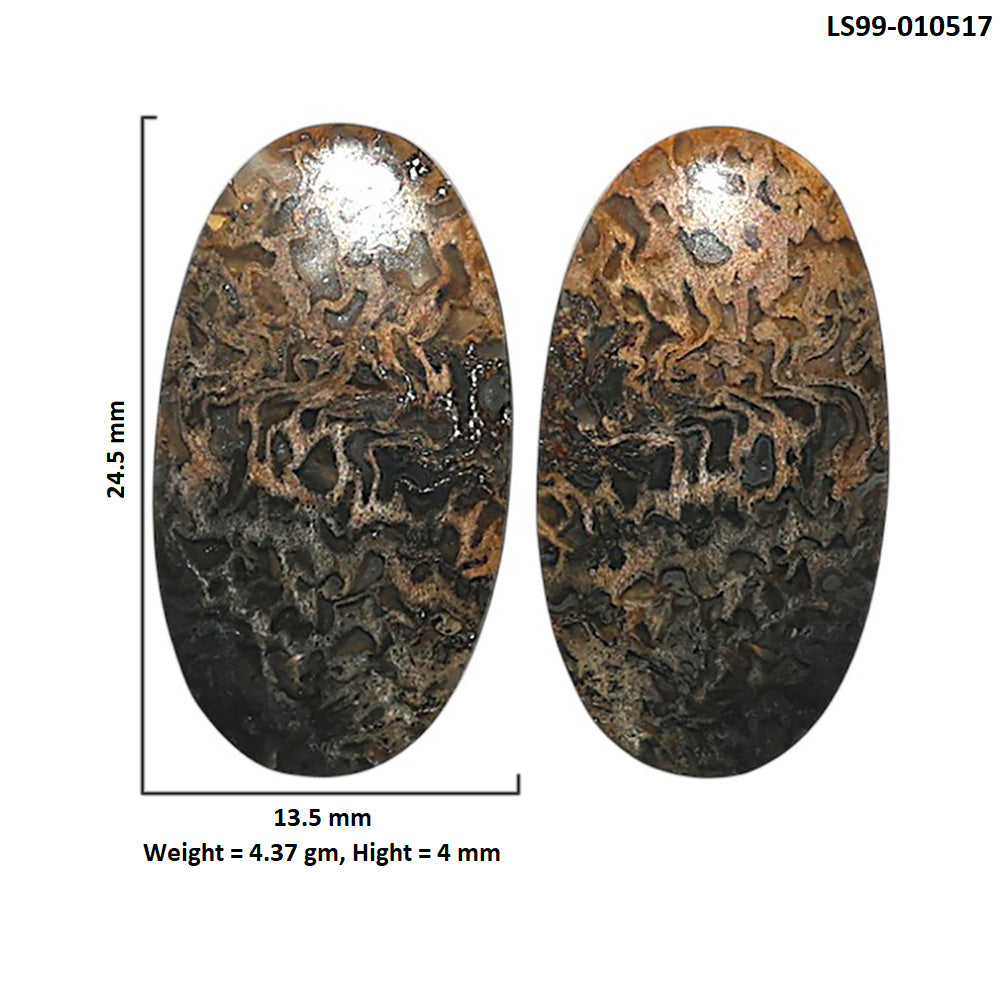 Natural Root Plume Agate 13.5x24.5x4 mm Oval Shape Polished Gemstone LS99-010517