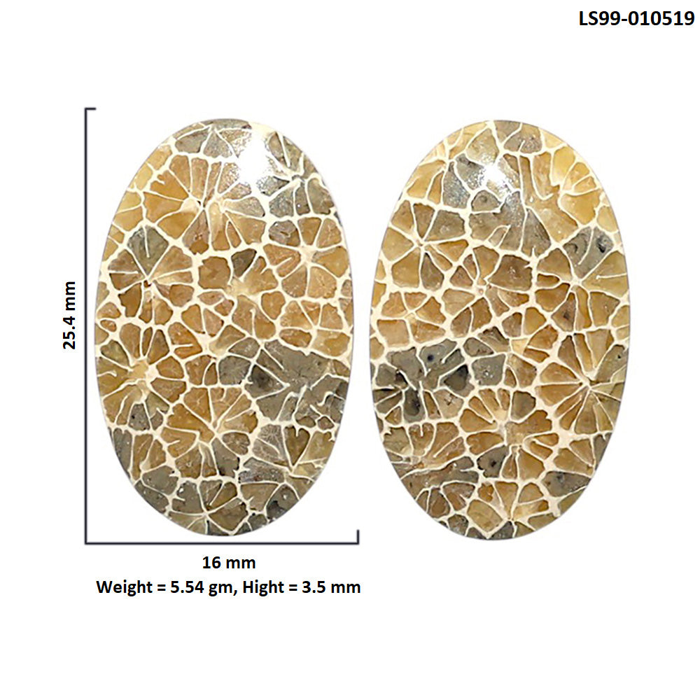 Natural Flower Fossil Coral 16x25.4x3.5 mm Oval Shape Polished Gemstone LS99-010519