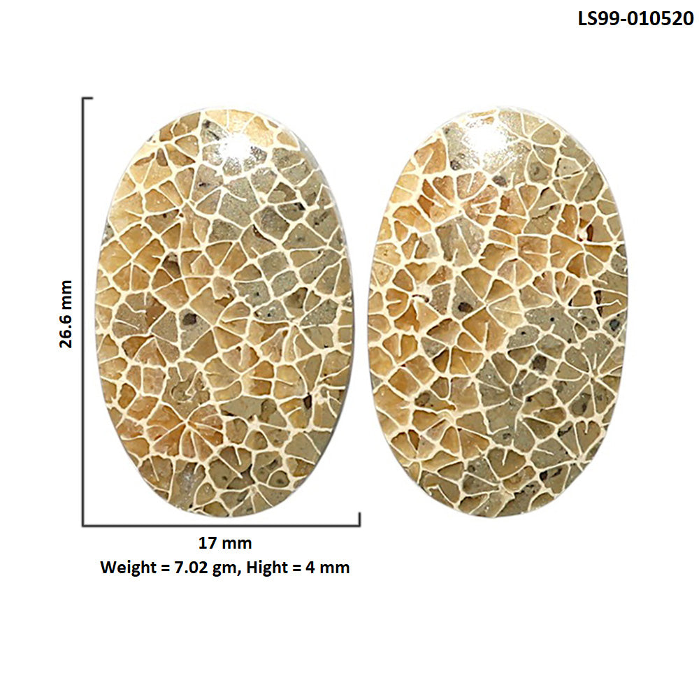 Natural Flower Fossil Coral 17x26.6x4 mm Oval Shape Polished Gemstone LS99-010520