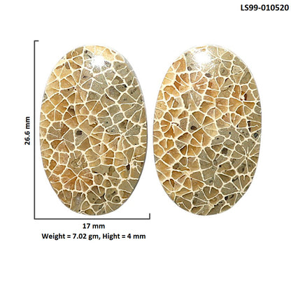 Natural Flower Fossil Coral 17x26.6x4 mm Oval Shape Polished Gemstone LS99-010520