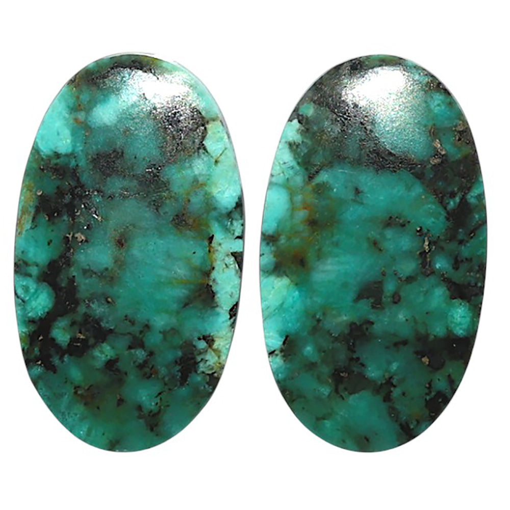 Natural Lucky Charm Tibetan Turquoise 15.5x26.7x4 mm Oval Shape Polished Gemstone LS99-010531