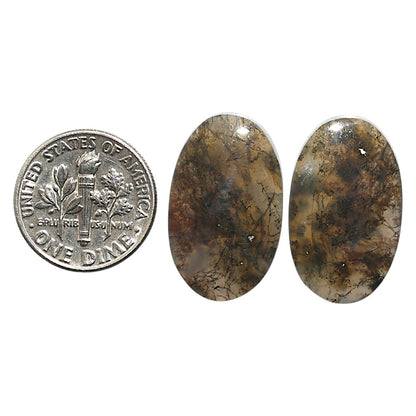 Natural Texas Moss Agate 14.2x23.4x4 mm Oval Shape Polished Gemstone LS99-010532