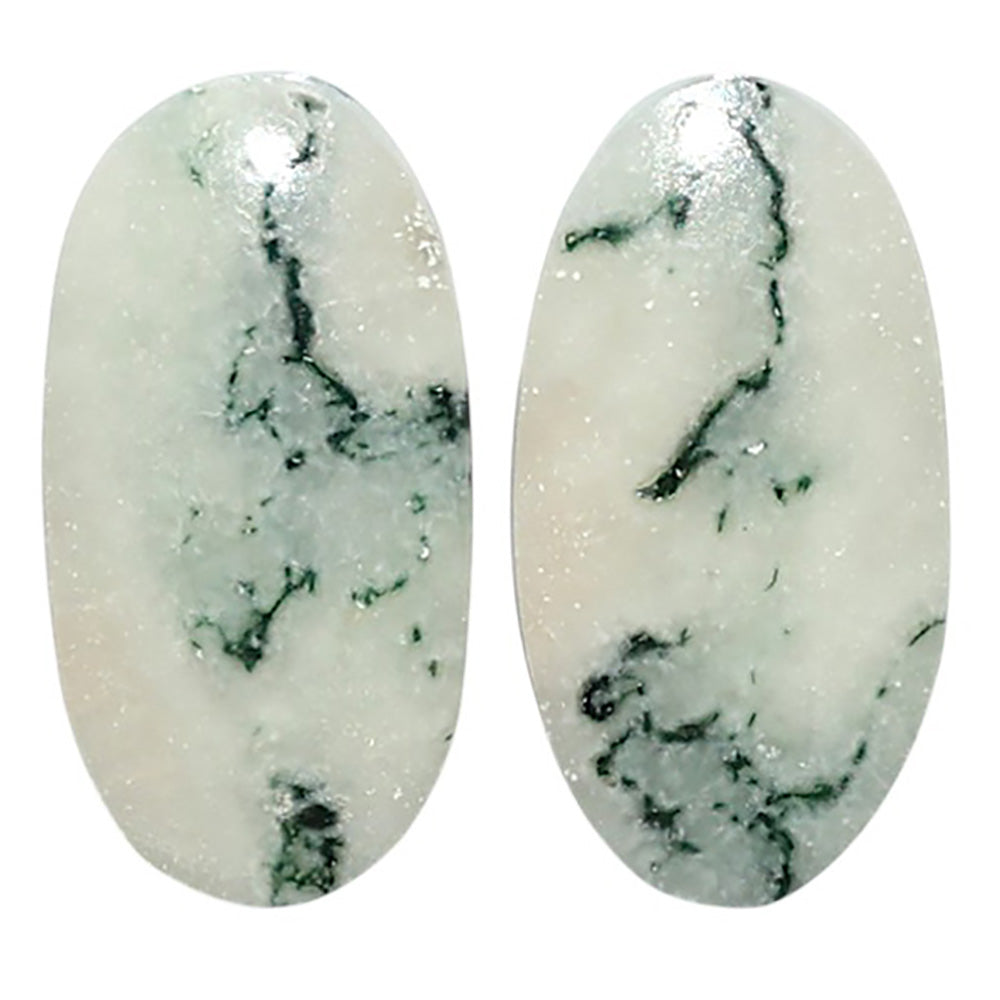 Natural Flower Fossil Coral 12.9x27.4x4 mm Oval Shape Polished Gemstone LS99-010538