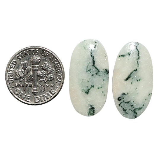 Natural Flower Fossil Coral 12.9x27.4x4 mm Oval Shape Polished Gemstone LS99-010538