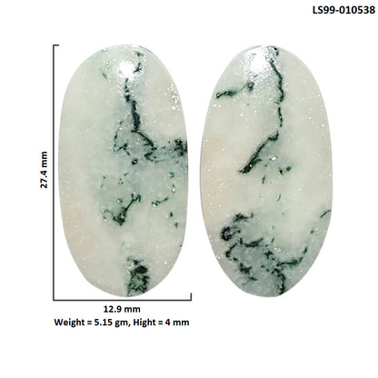 Natural Flower Fossil Coral 12.9x27.4x4 mm Oval Shape Polished Gemstone LS99-010538