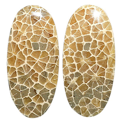 Natural Tree Weed Moss Agate 12.2x23x3.7 mm Oval Shape Polished Gemstone LS99-010539