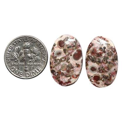 Natural Leopard Skin Jasper 13.3x20.8x4 mm Oval Shape Polished Gemstone LS99-010548