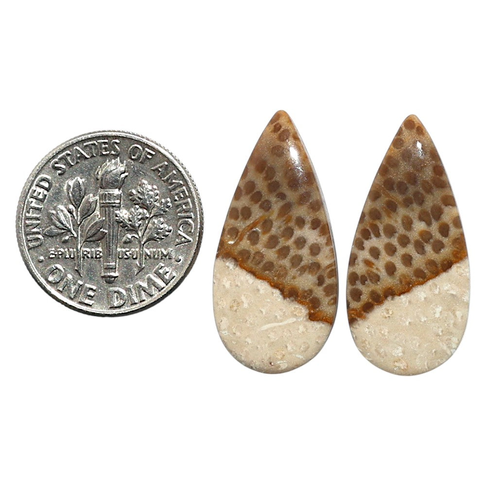 Natural Root Plume Agate 12x24.8x4 mm Pear Shape Polished Gemstone LS99-010556