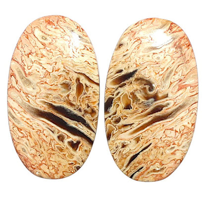 Natural Root Plume Agate 15x26.2x4 mm Oval Shape Polished Gemstone LS99-010558