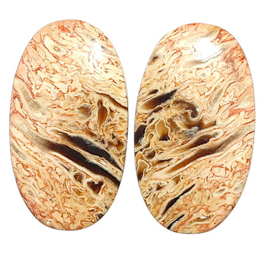Natural Root Plume Agate 15x26.2x4 mm Oval Shape Polished Gemstone LS99-010558