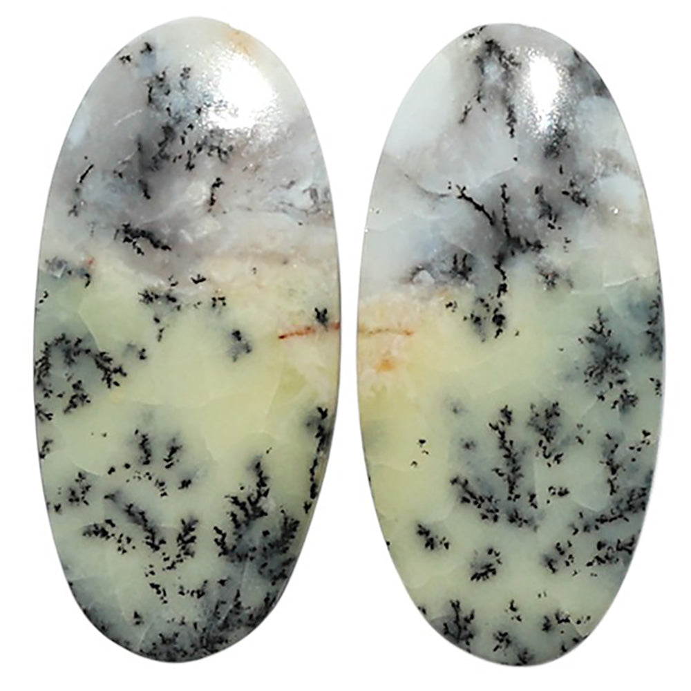 Natural Dendritic Chrysoprase 12.3x25.7x4 mm Oval Shape Polished Gemstone LS99-010559